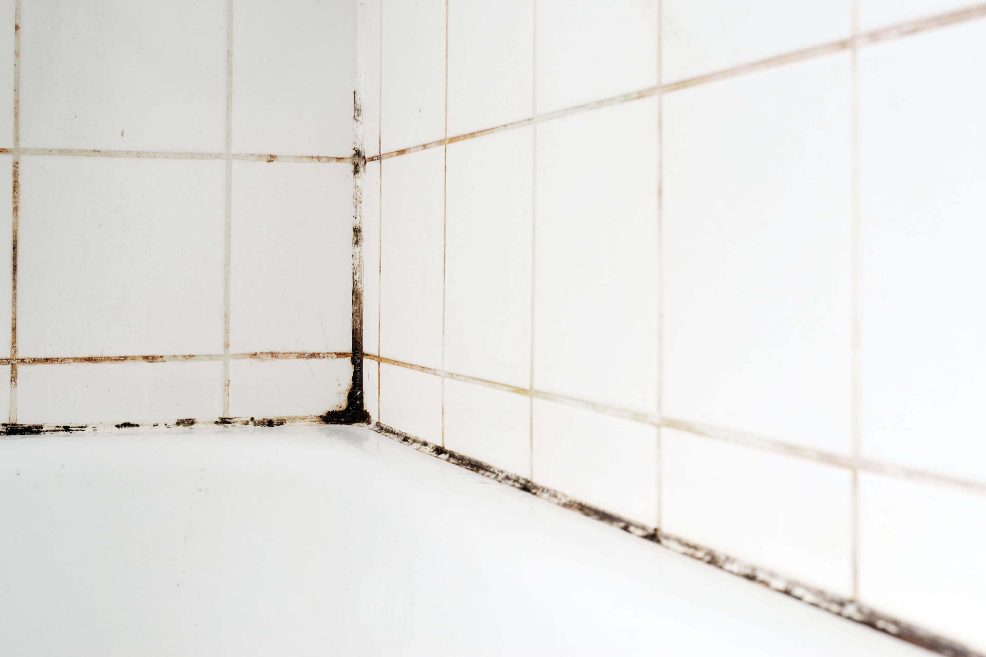 Humedad en los azulejos del baño