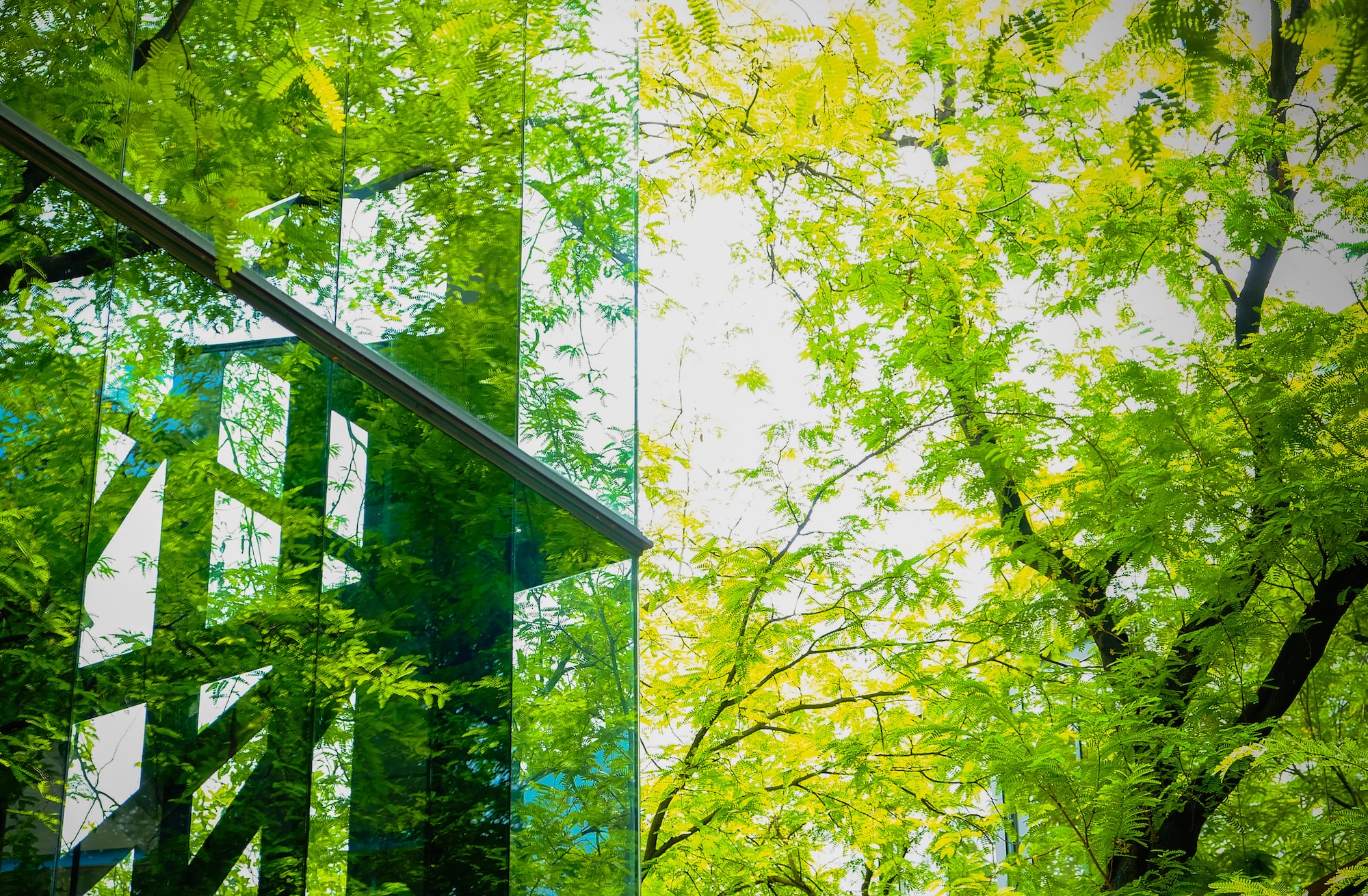 Come migliorare l’efficienza energetica