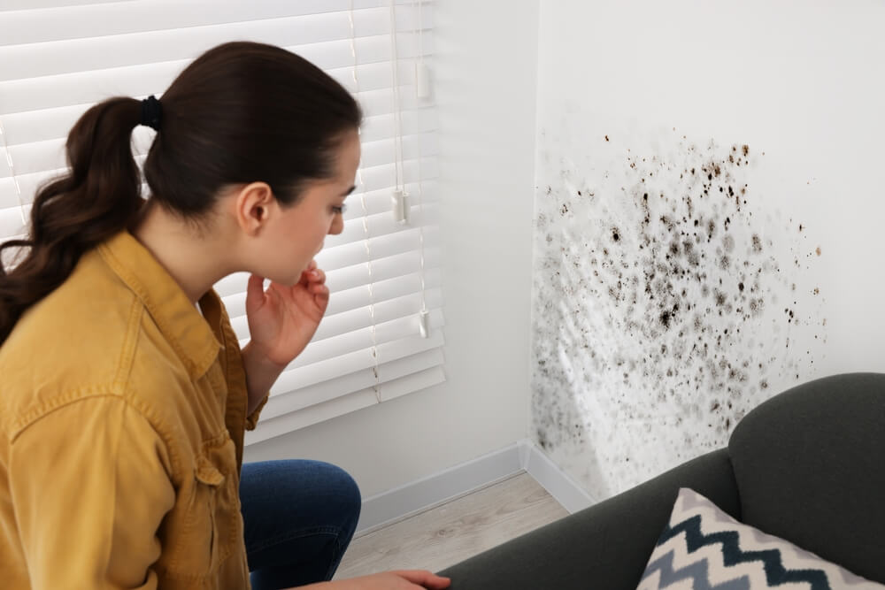 Cómo quitar la humedad de una habitación: guía y soluciones