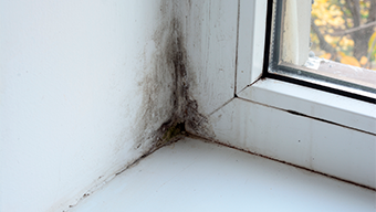 La importancia de la ventilaci&oacute;n en proyectos de rehabilitaci&oacute;n