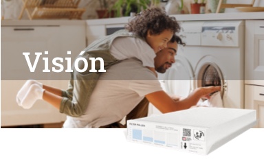 Visión